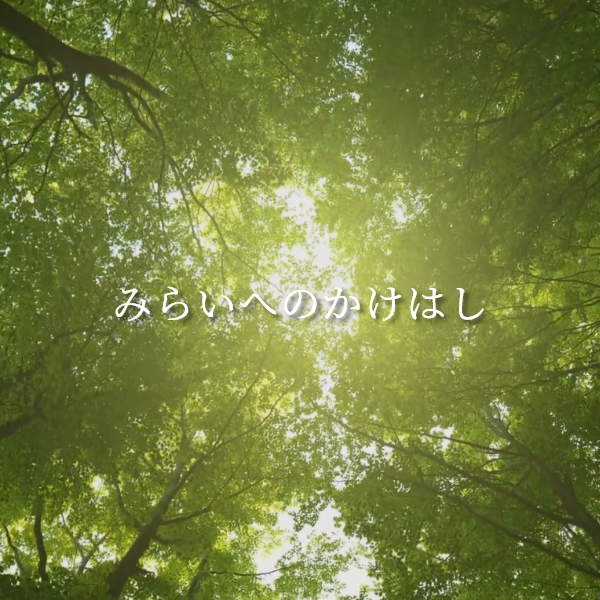 合同会社かけはし様のホームページ制作実績